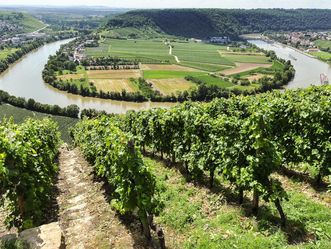 Neckarschleife bei Mundelsheim