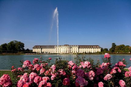 Ludwigsburg Palace, Pond in the palace gardens